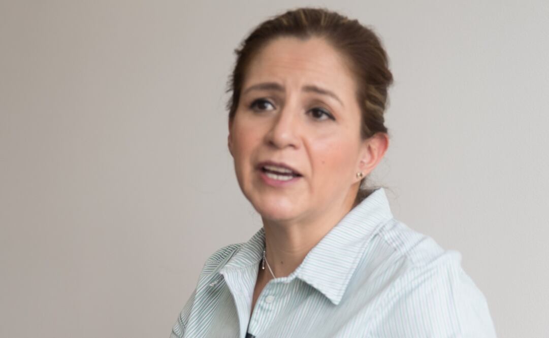 El Foro Virtual "La Economía de las Mujeres Frente a la Emergencia Sanitaria" fue convocado por la diputada Martha Tagle. FOTO: Archivo. EL UNIVERSAL