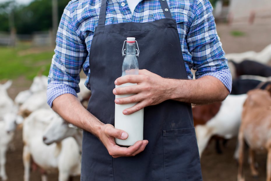 A pesar de sus usos tradicionales, la leche bronca puede contener bacterias peligrosas si no se manipula correctamente. Foto: Freepik