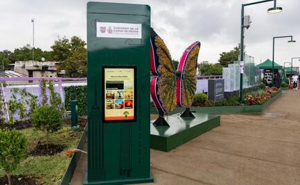 Así funcionan los tótems táctiles del Jardín Flotante de Tlalpan; darán información de los partidos en tiempo real