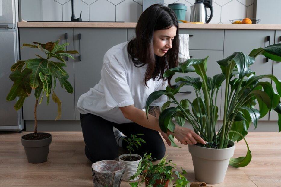 Las plantas interactúan con sus semejantes. Fuente: Freepik.