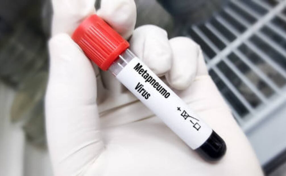 Metapneumovirus humano. Foto: iStock
