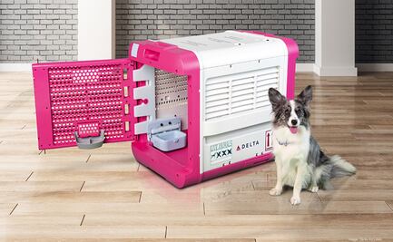 Estrenan transportadora inteligente para que tu mascota viaje cómoda en el avión
