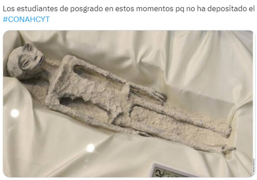 Captura vía X.