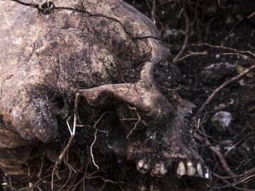 More than 1,000 clandestine graves found in Mexico since 2006