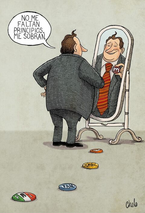 Político profesional