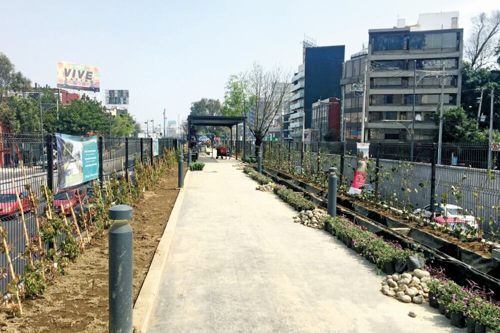 Un 30% de la vegetación colocada en el parque lineal de unas 50 mil existentes sufrieron por las bajas temperaturas en la Ciudad, dijeron autoridades (EDUARDO HERNÁNDEZ. EL UNIVERSAL)