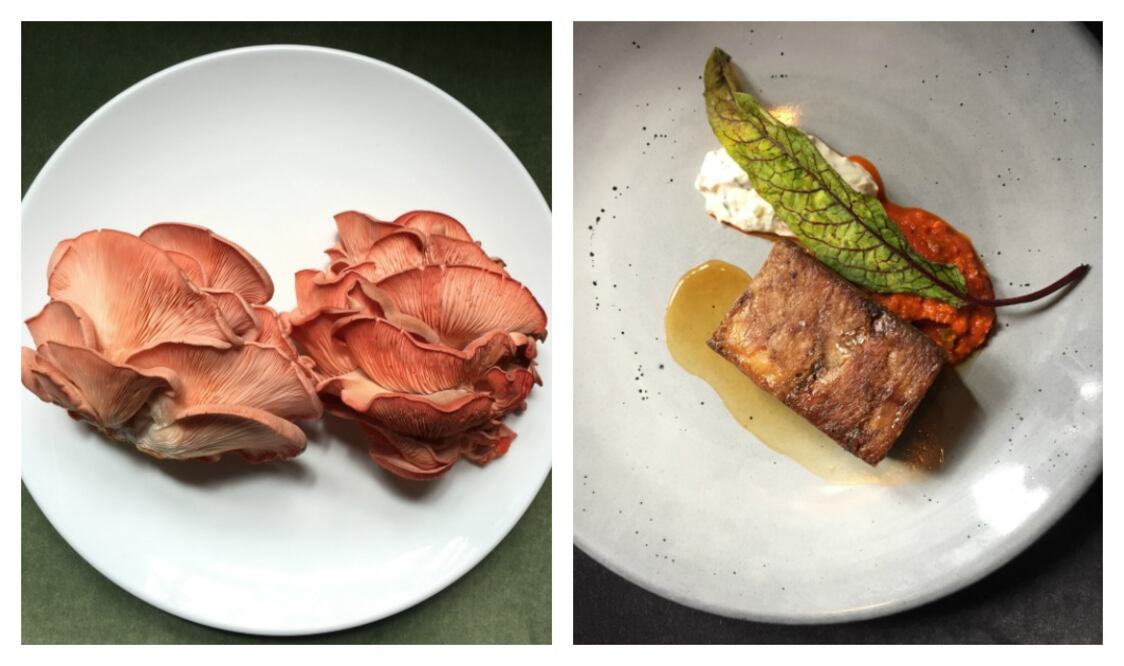 Foto: NATALIA DE LA ROSA / Variedad de setas rosas y cordero al horno de Mia Domenicca