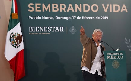 Señalan que plan de AMLO de reforestación puede dañar bosques