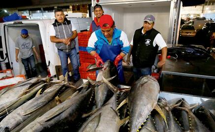 Mexican tuna industry will have to modify fishing methods