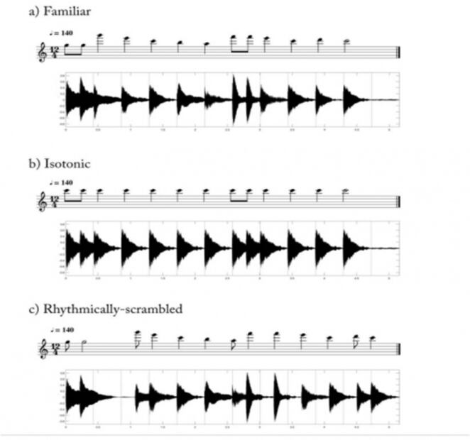 Estudio revela que las ratas pueden identificar el ritmo musical