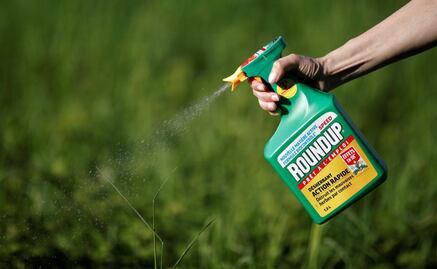 Monsanto acquisition by Bayer will be limited in Mexico