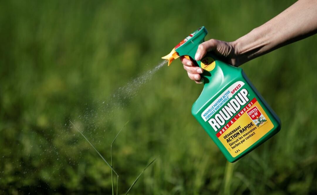 Werner Baumann stated that the Monsanto acquisition is a strategic passing point in the growth of their company portfolio - Photo: Benoit Tessier/REUTERS