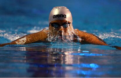 Siguen los absurdos de la federación