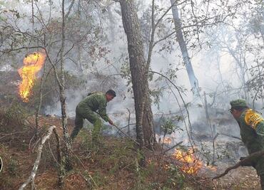Aplican Plan DN-III-E por incendios en Querétaro, Durango y Tabasco