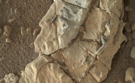 NASA halla en Marte extrañas rocas parecidas a fósiles de la Tierra
