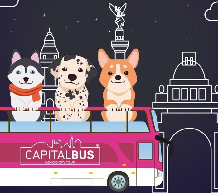 Imagen: Facebook Capital Bus