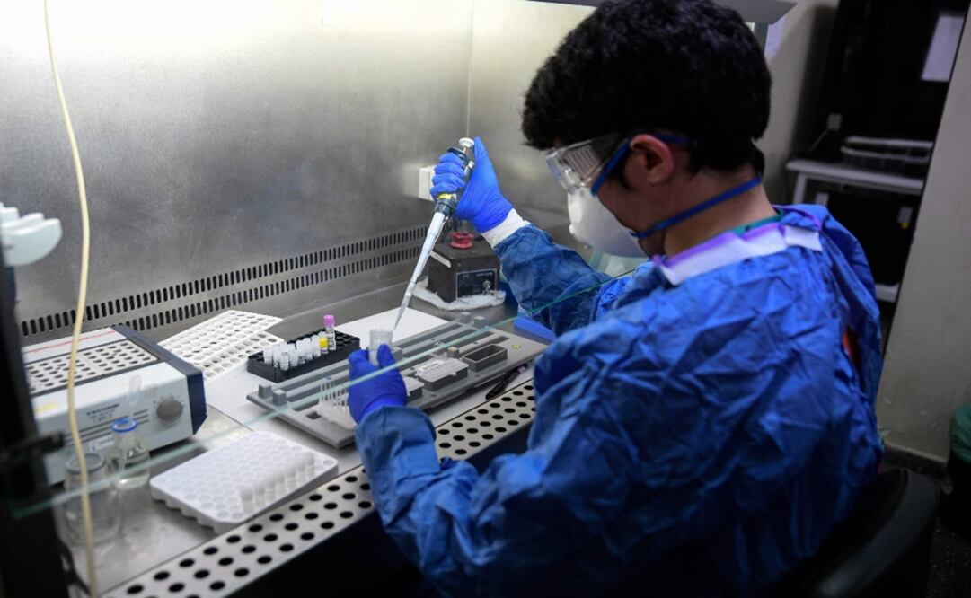 A healthcare worker conducts Polymerase Chain Reaction (PCR) tests at a microbiology lab - Photo: Oscar del Pozo/AFP