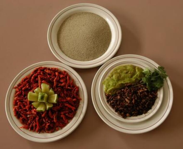 ​Entérate. Dónde comprar insectos comestibles