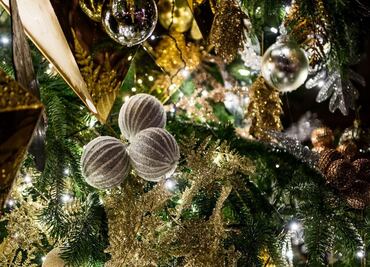 The pagan origin of Christmas trees
