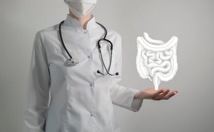 Tomar una infusión de cuachalalate y chupandilla podría aliviar tu colitis, asegura estudio del IPN y la UNAM  