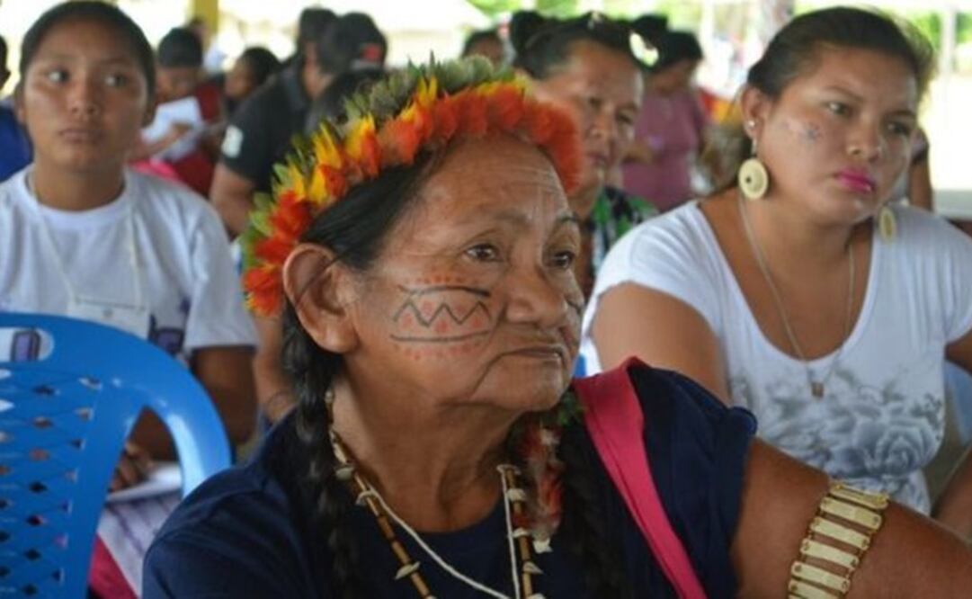 Las tierras indígenas se extienden por casi toda la frontera de Brasil con Venezuela (CONSEJO INDÍGENA DE RORAIMA)