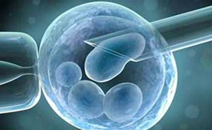 Investigadores de EU logran modificar genéticamente embriones humanos