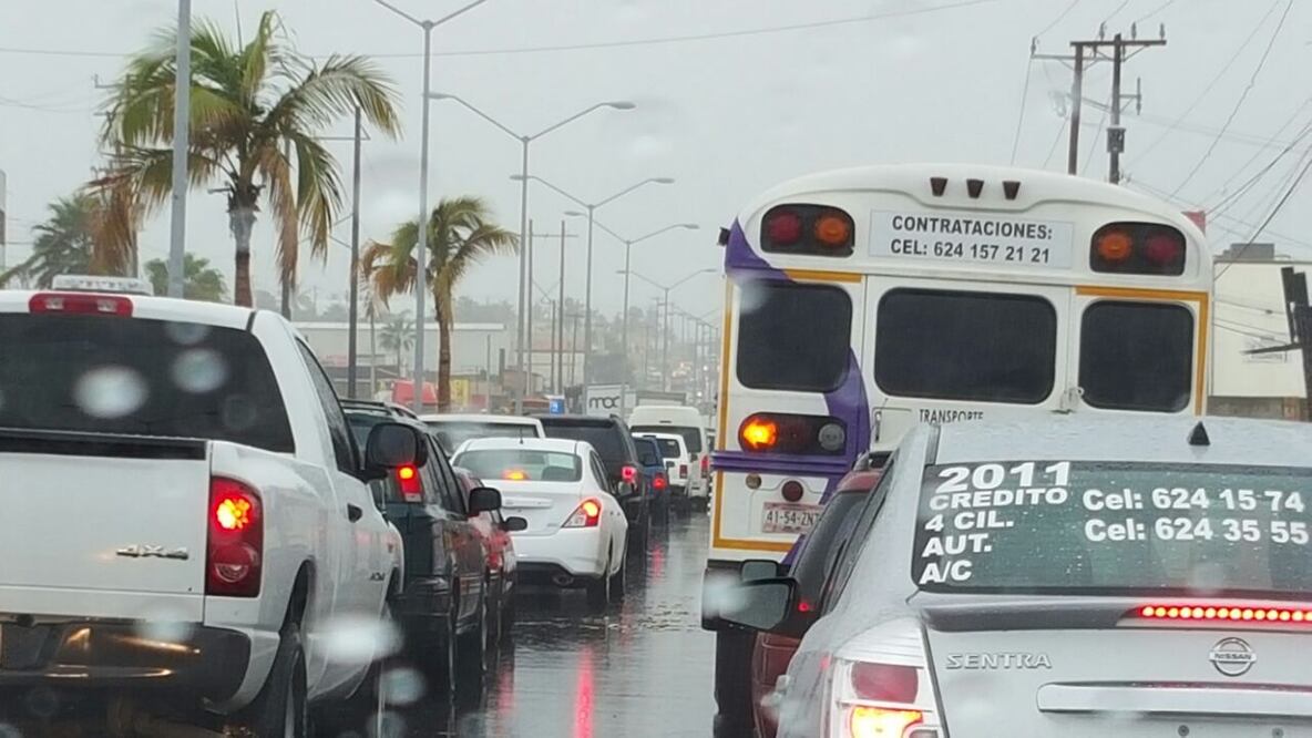 Foto: Gladys Navarro