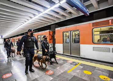 Sniffer dogs help Mexico City’s subway fight drug dealing