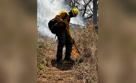 Incendio forestal consume más de mil 500 hectáreas en Sonora; despliegan helicóptero militar