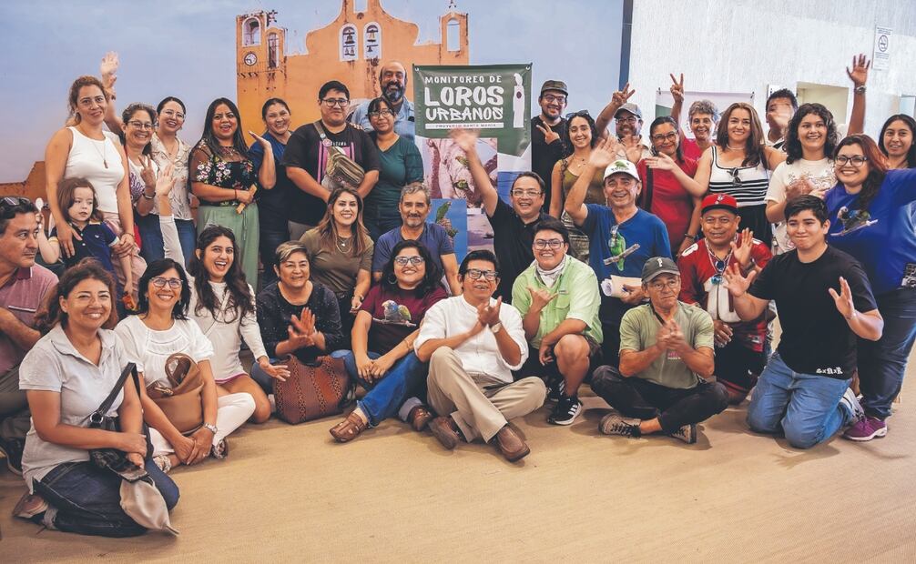 Durante seis meses los ciudadanos de Mérida realizaron un total de mil 597 avistamientos de loros, en un ejercicio de ciencia ciudadana único en todo el país. Fotos: de Yazmín Rodríguez