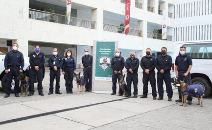 Jubilan a cinco caninos que sirvieron en aduanas durante 9 años