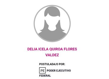 Candidata "buscadora" en elección judicial acusa discriminación del INE; su información no aparece en la plataforma Conóceles