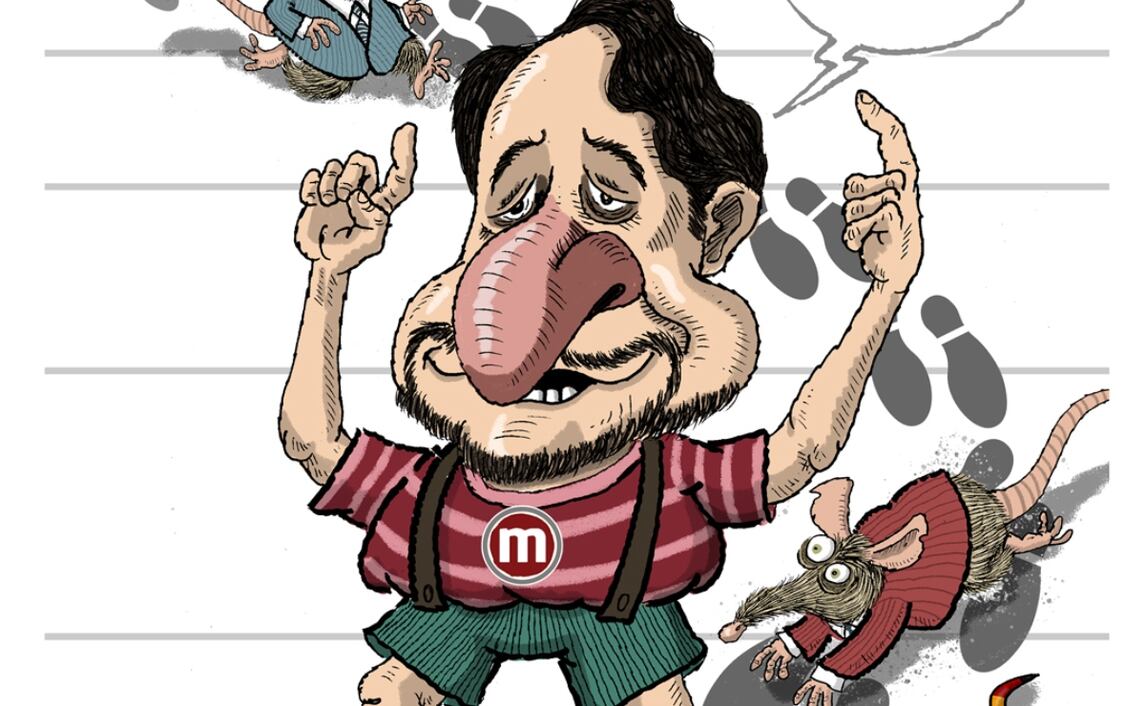 Cartón de FER