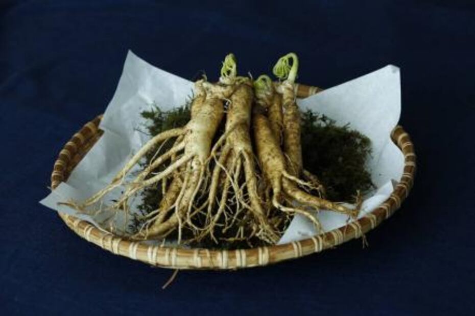 Plantas para elevar la dopamina y ser feliz