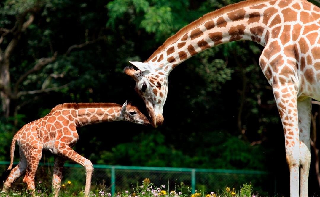 Imagen ilustrativa. Foto: EFE