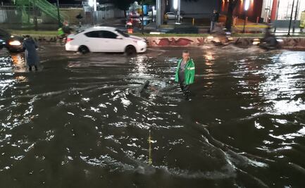 Fuertes lluvias en la CDMX provocan la caída de un árbol y encharcamientos en diversas zonas
