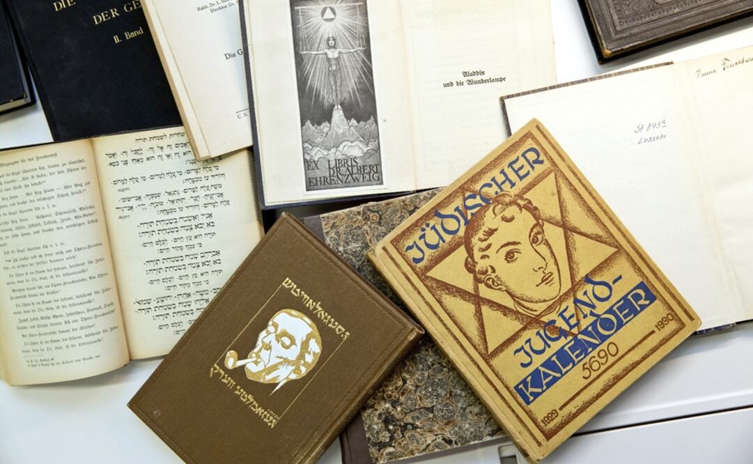 Several books that were stolen during the Nazi regime are presented at the Nuremberg municipal library on September 10, 2013 - Photo: Daniel Karmann/EFE