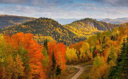 Otoño en Québec: 5 regiones ideales para disfrutar los colores del follaje