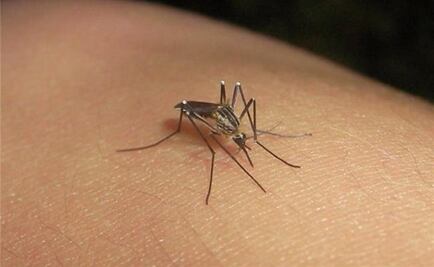 Confirman segunda muerte por dengue en Yucatán