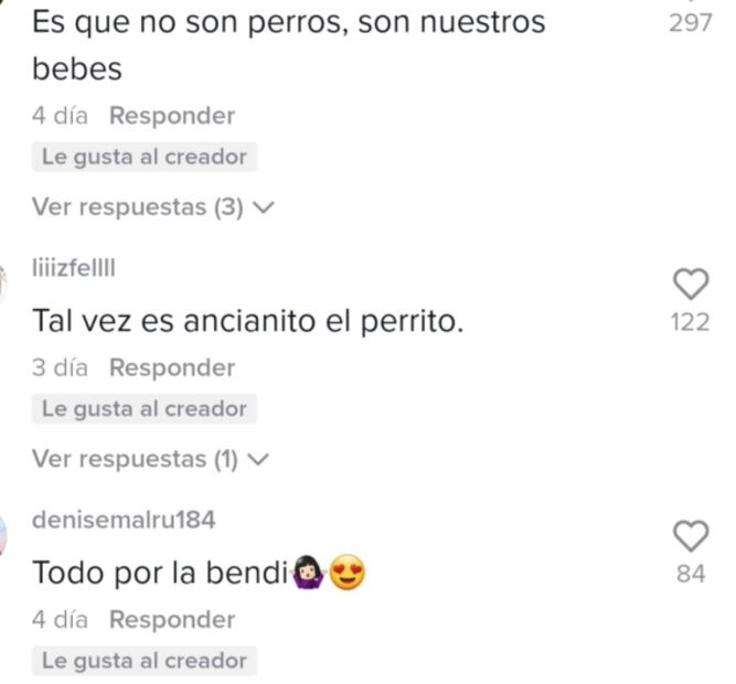 Perrito llega a kermés en su auto y se vuelve viral