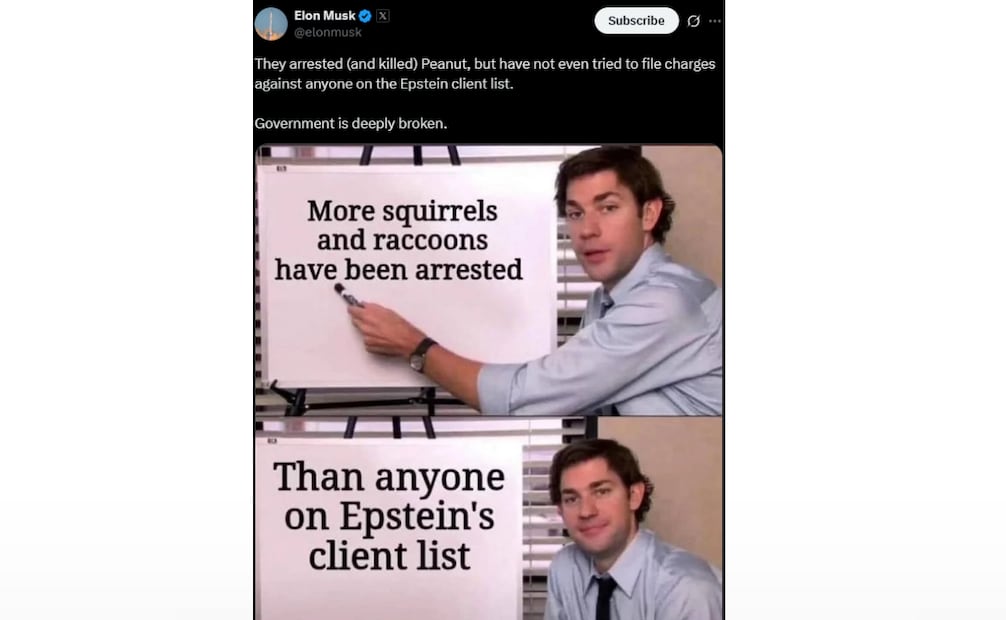 Capturas de pantalla de Elon Musk. (08/07/25) Foto: Captura de pantalla