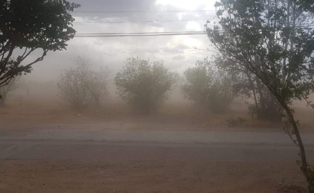 En Chihuahua las temperaturas en los últimos días han sido bajas (04/04/2025). Foto: Especial