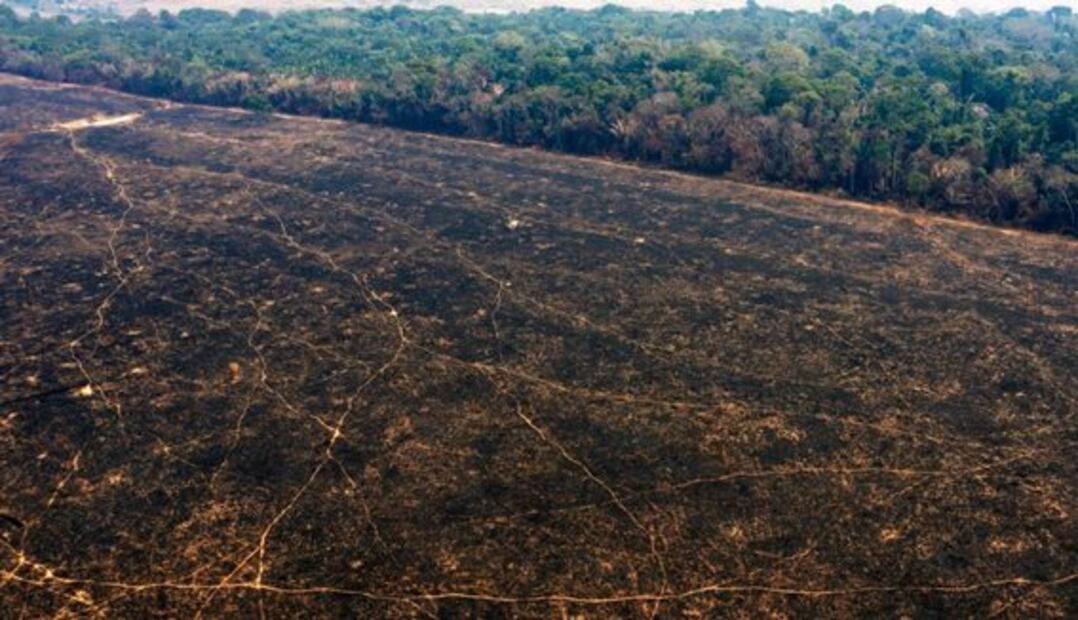 Las imágenes de los incendios registrados en la selva amazónica de Brasil