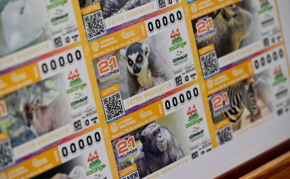 Gómez destacó los esfuerzos de conservación de especies en peligro y la colaboración con el gobierno federal en políticas de protección animal. (24/01/25) Foto: Especial