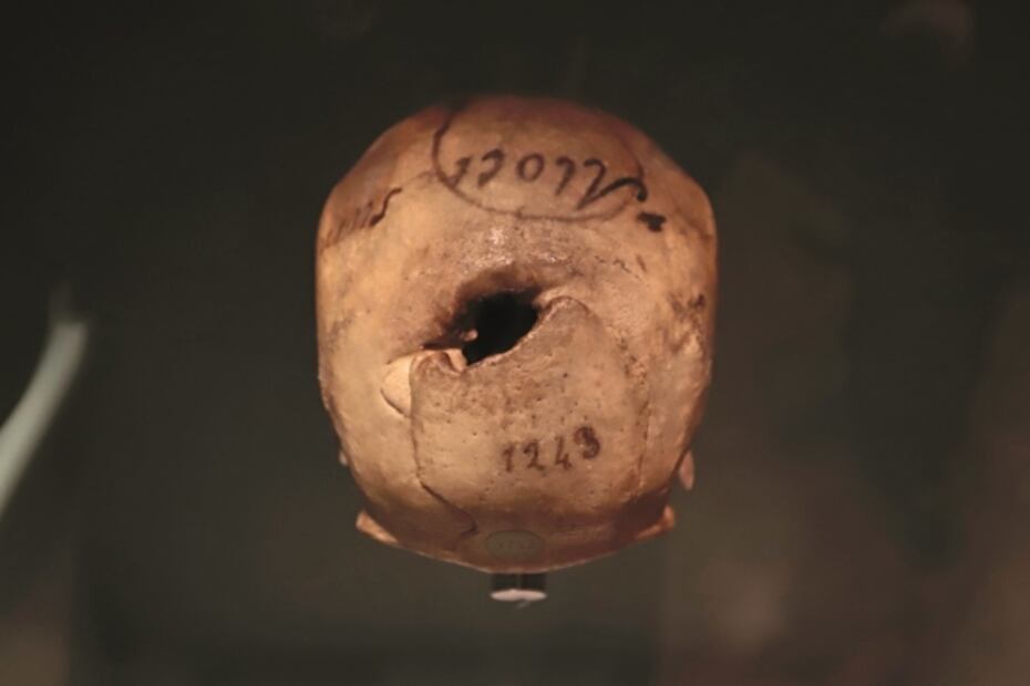 ¿Qué encontrarás en la exposición "La Grandeza de México"? Aquí lo imperdible