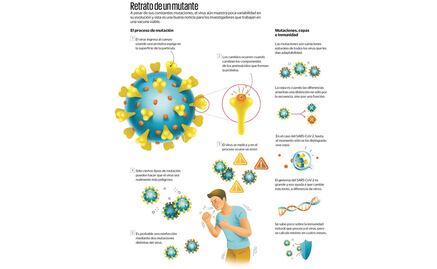 ¿Qué implican las reinfecciones por Covid-19?