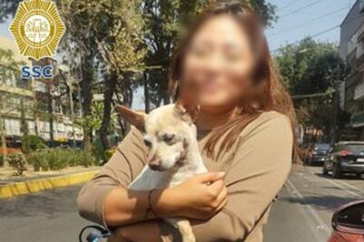 Lomito Chihuahua regresa con su dueña gracias a policías de la CDMX ¡Se les perdió varias horas! 