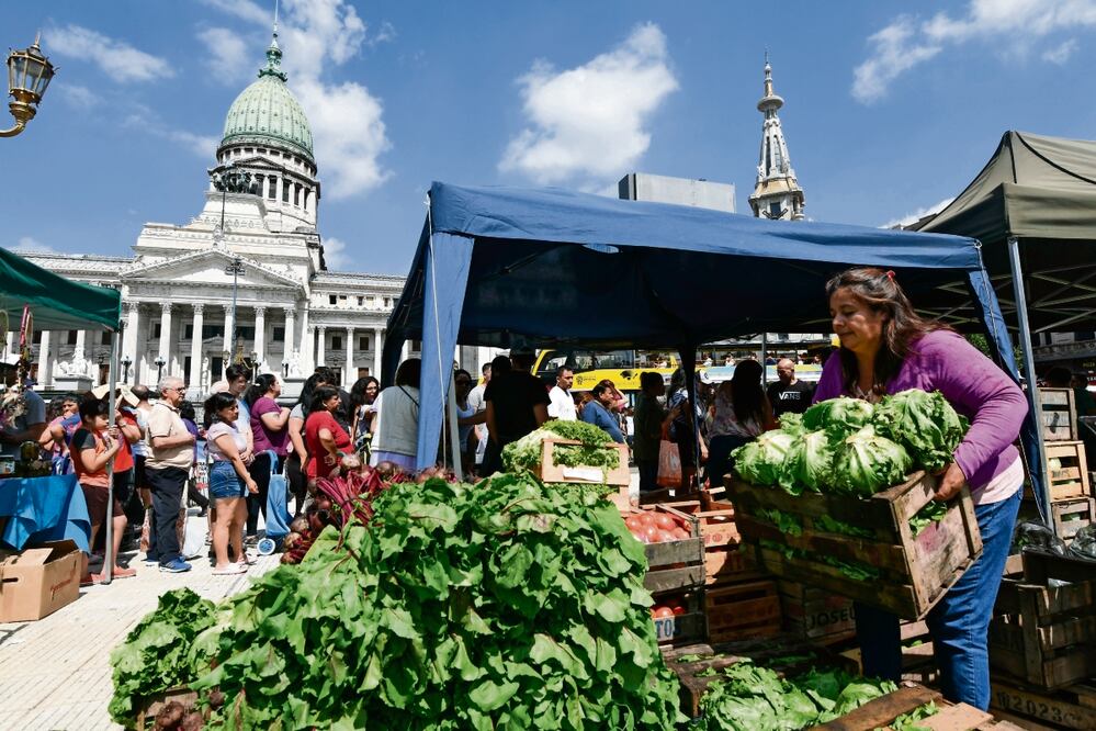 Con Milei,  habrá desencuentro con México: experto