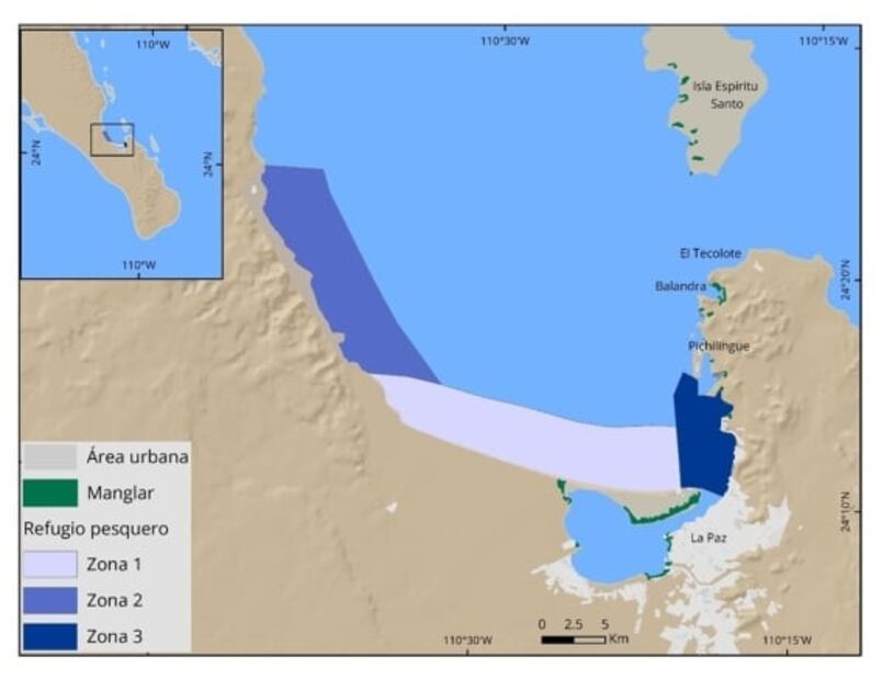 Tiburón ballena: nada con el pez más grande del mundo en La Paz