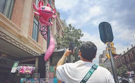 En Centro Histórico, la ajolotización se expande